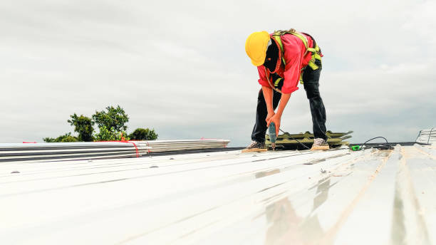 Best Skylight Installation and Repair  in Cassville, MO