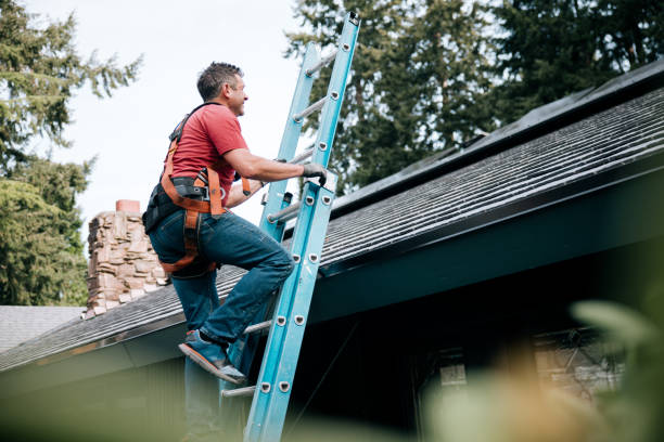 Best Cold Roofs  in Cassville, MO